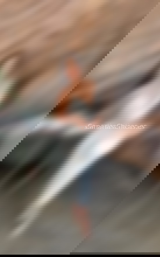Valentina, bella latina. 657300797. Citas en CANARIAS, CANARIAS. www.canariaschicas.es. Valentina, bella latina. 657300797. Citas en CANARIAS, CANARIAS. www.canariaschicas.es.
