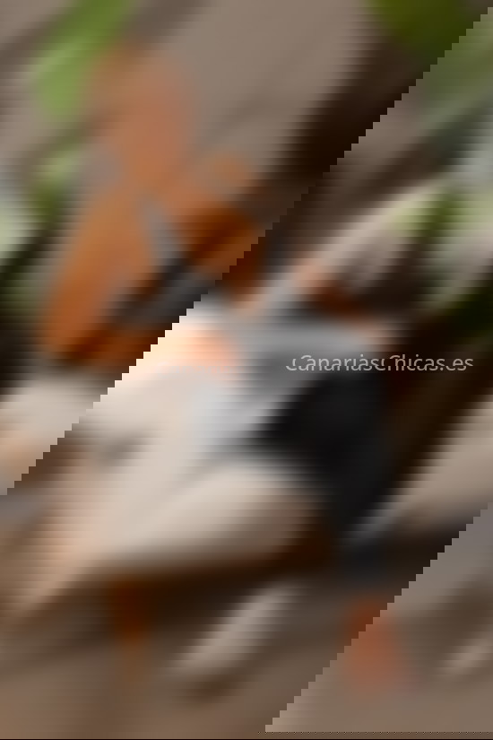 Anabel, venezolana guapa. 672340756. Citas en CANARIAS, CANARIAS. www.canariaschicas.es.